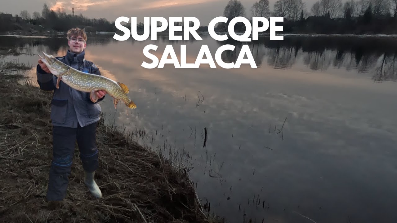 PĀRSTEIGUMS Salacā un skaista sapalu copīte