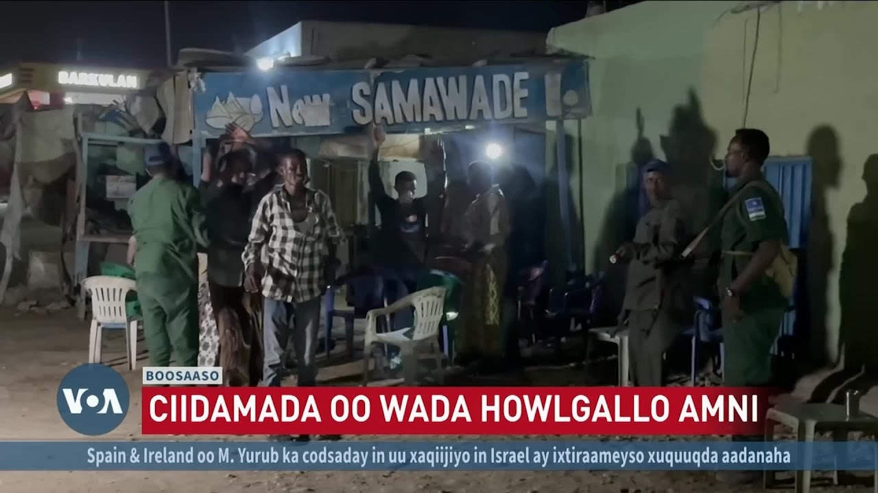Howlgallo amni oo dad lagu xir xiray oo ka dhacay Boosaaso