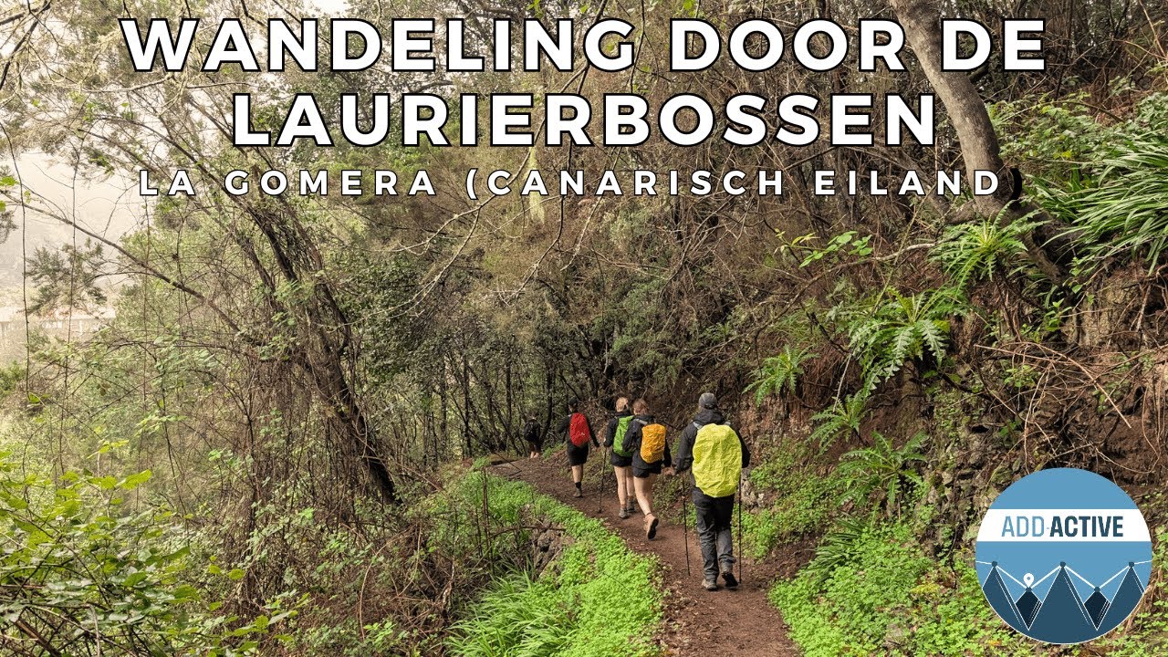 Wandeling door de laurierbossen van La Gomera – Canarische Eilanden