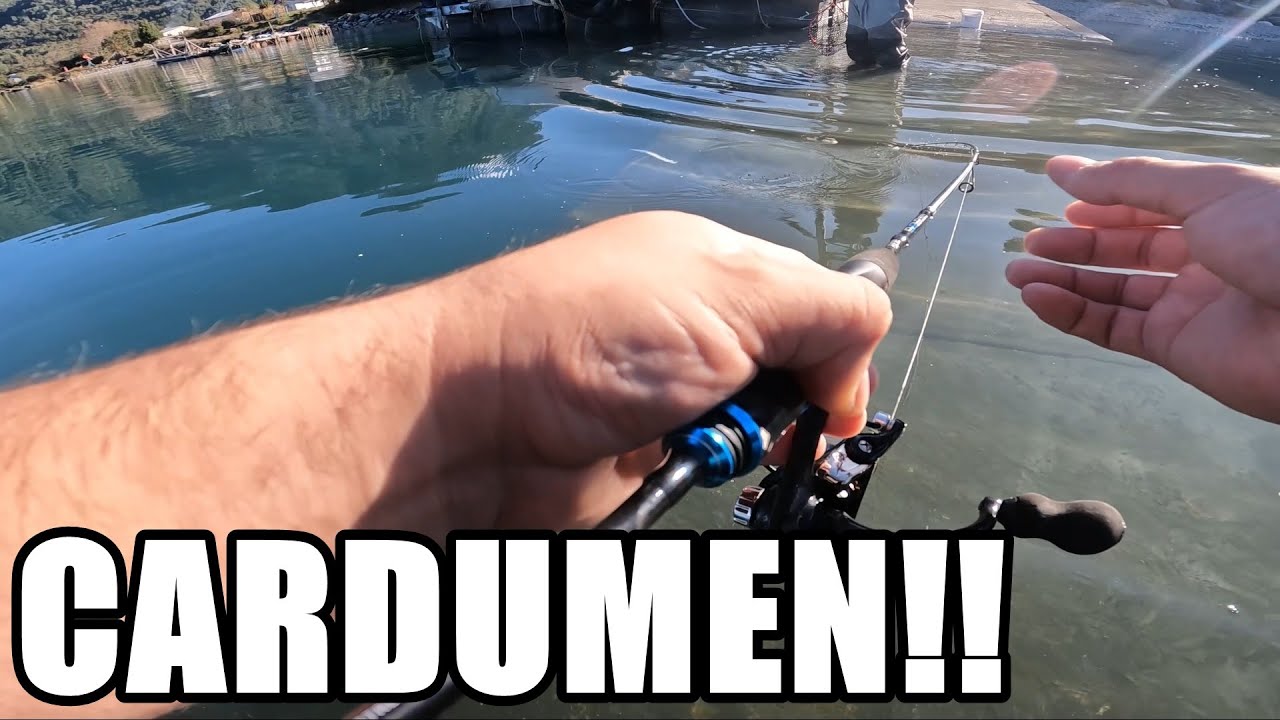 Pesca UL desde el MUELLE | Enorme CARDUMEN en la Orilla.