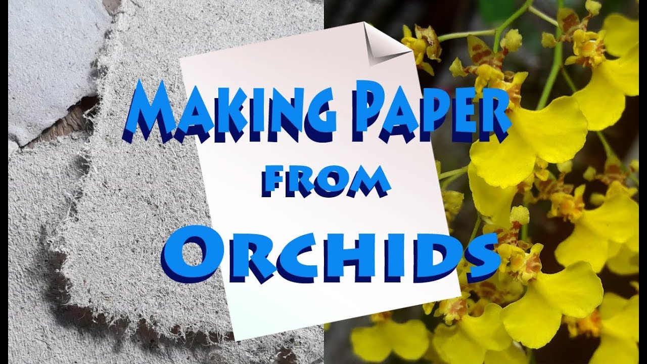 How to make paper from Orchids (And other plants)