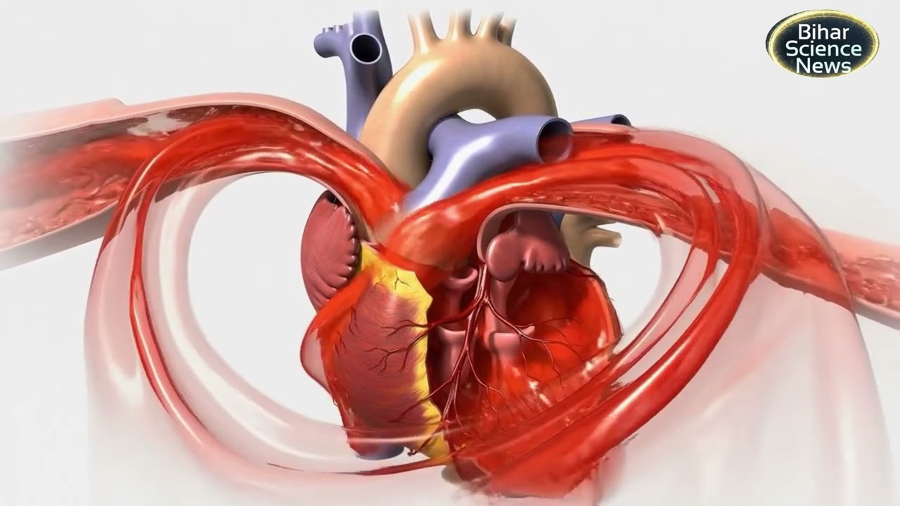 Cardiac Cycle Step by Step 💥 Heart Beat Mechanism | NEET 2026 Biology
