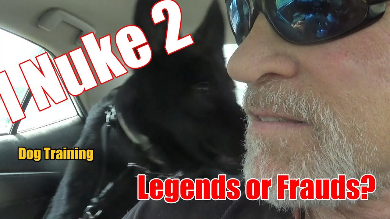 K9 King NUKES TWO Famous Dog Training Stars: Frauds or Legends?