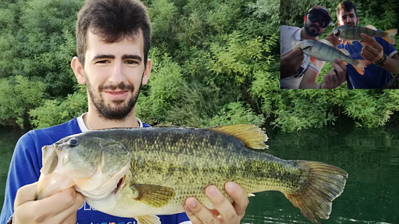 Big Bass Over 2KG a Bilancino e Big Real Perch