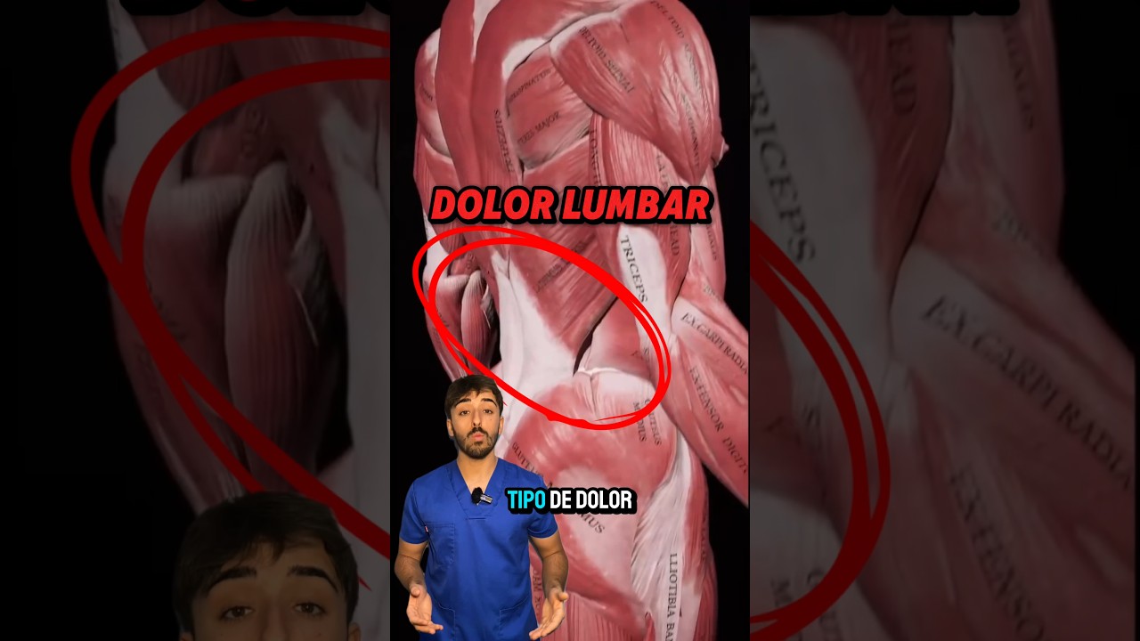 ❗️LA CAUSA DEL DOLOR LUMBAR❗️#lumbalgia #hernia #Lumbares #sacroiliaca #sacro #ejercicio #aliviar