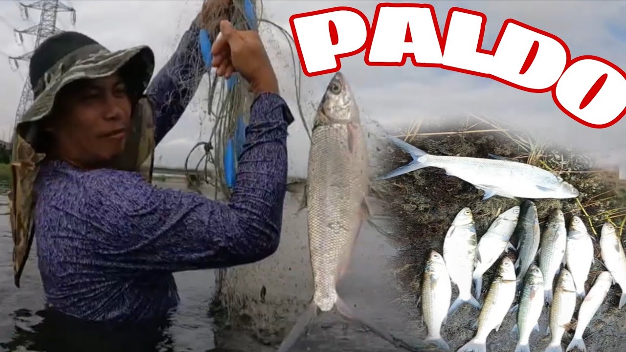 Jackpot sa bangus daming huli/catchandcook