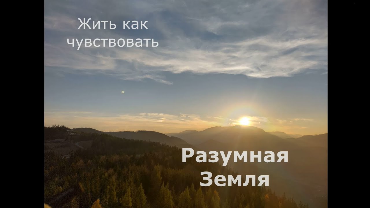 Жить как чувствовать. Разумная Земля