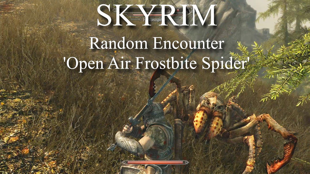 Skyrim Random Encounter: 'Open Air Frostbite Spider'