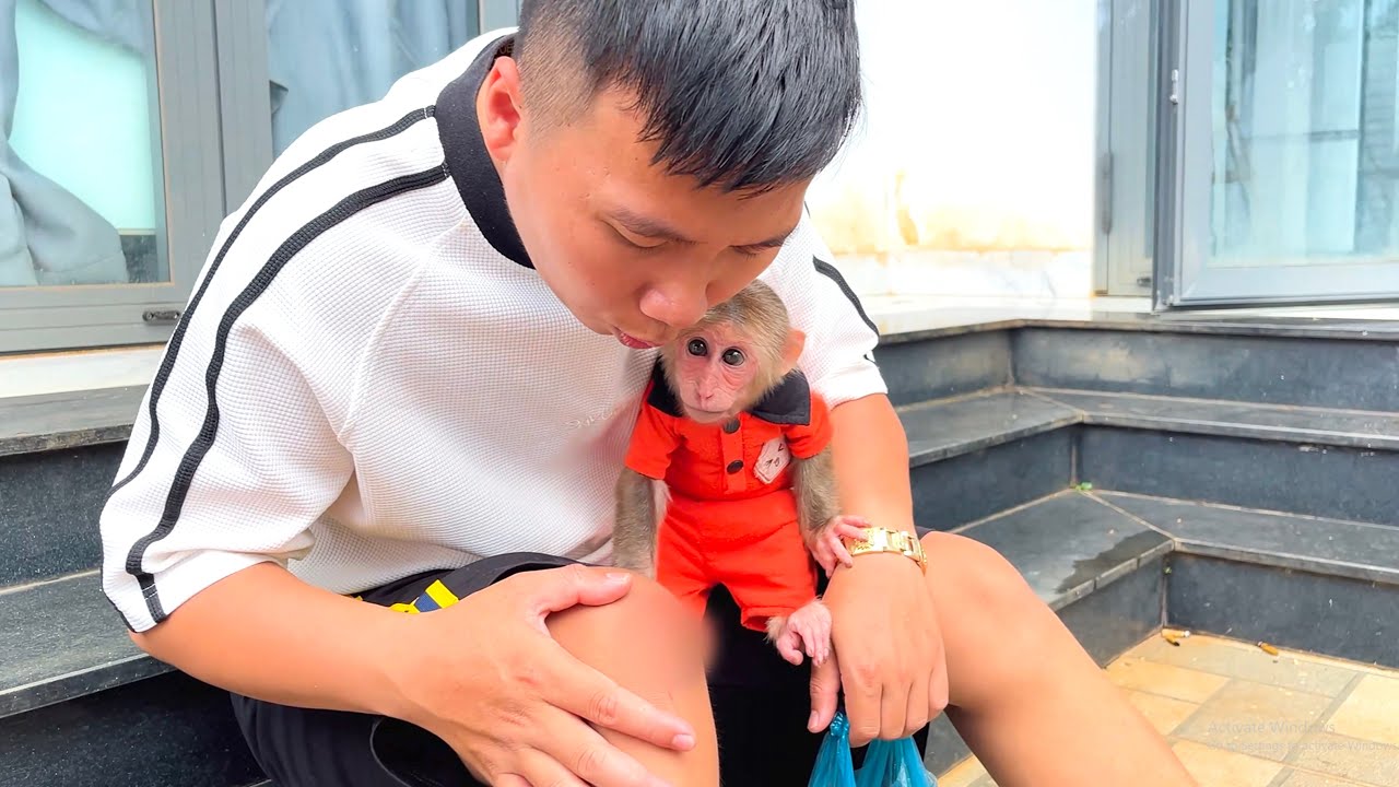 CUBIS Gets Worried When Dad Hurts His Leg!