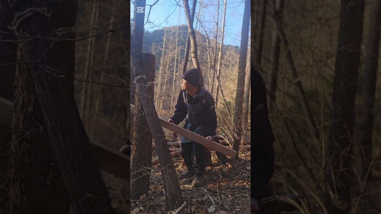 Building a small cabin Alone in the woods #bushcraft #아지트 #alone #outdoors #survival 