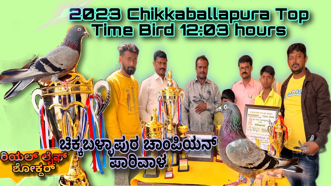 Chikkaballapura Top Time Bird 