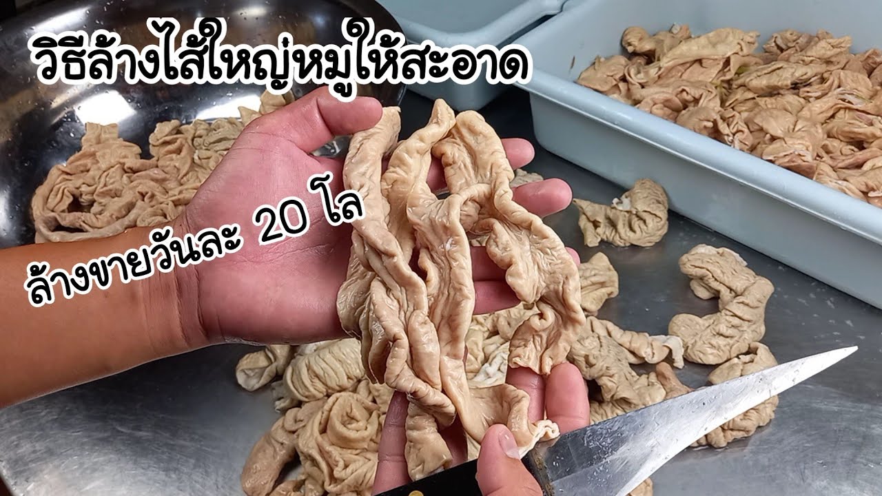 วิธีล้างไส้ใหญ่หมู ให้สะอาด ไม่มีกลิ่นคาว เทคนิคจากพ่อค้าทำขายวันละ 20 โล |เติมไขมันChannel