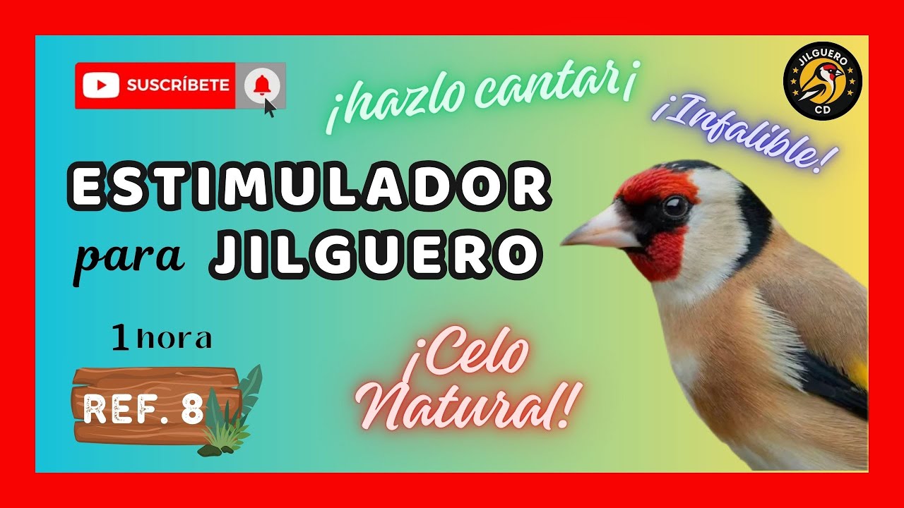 📀 𝗘𝘀𝘁𝗶𝗺𝘂𝗹𝗮𝗱𝗼𝗿 𝗱𝗲 𝗰𝗲𝗹𝗼 𝗽𝗮𝗿𝗮 𝗷𝗶𝗹𝗴𝘂𝗲𝗿𝗼. 𝗣𝗶𝘁𝗼𝗿𝗿𝗲𝗼 𝗽𝗮𝗿𝗮 𝗰𝗮𝗻𝘁𝗲 𝗷𝗶𝗹𝗴𝘂𝗲𝗿𝗼. 𝗛𝗮𝗰𝗲𝗿 𝗰𝗮𝗻𝘁𝗮𝗿 𝗮𝗹 𝗺𝗮𝗰𝗵𝗼 𝘆 𝗲𝗻𝘀𝗲ñ𝗮𝗿.