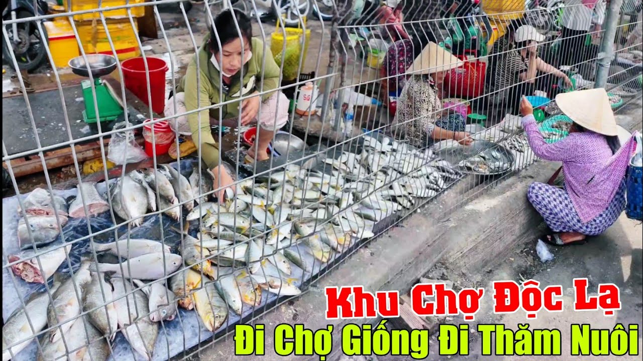 Khu chợ độc lạ đi mua đồ giống như đi thăm nuôi Cá tôm cua ghẹ đổ đống tràn lan