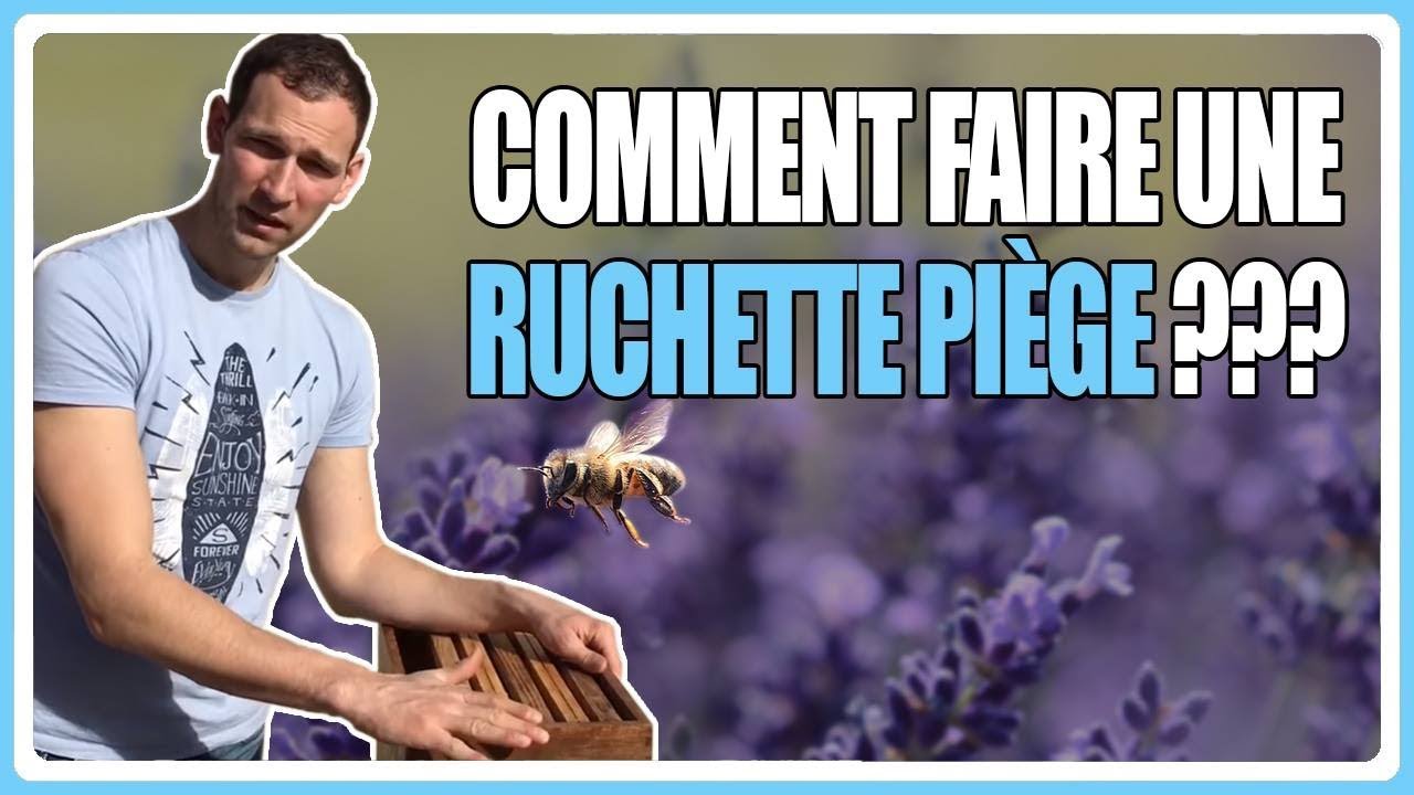 Comment faire une ruchette piège ???