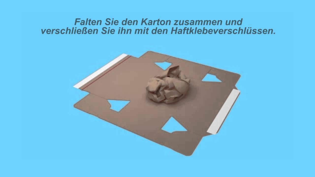 Karton mit integriertem Papierpolster