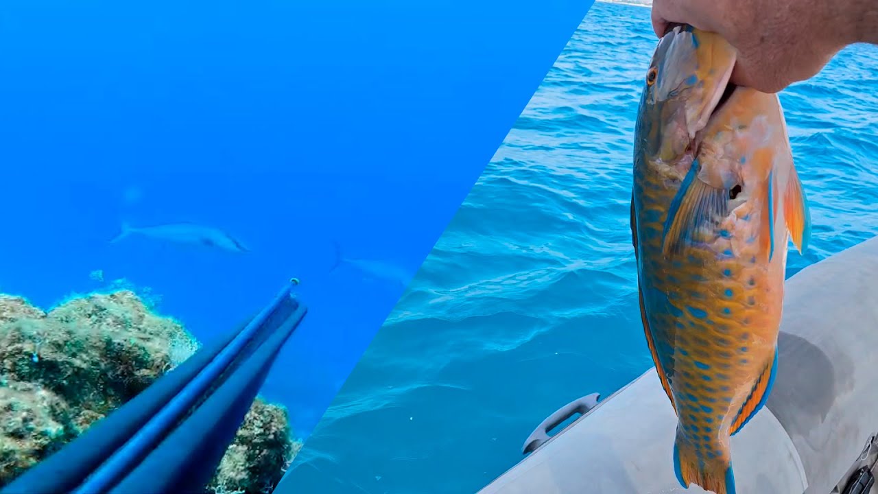Подводная охота в Турции. Отличные виды моря, под водой и вкусный улов.