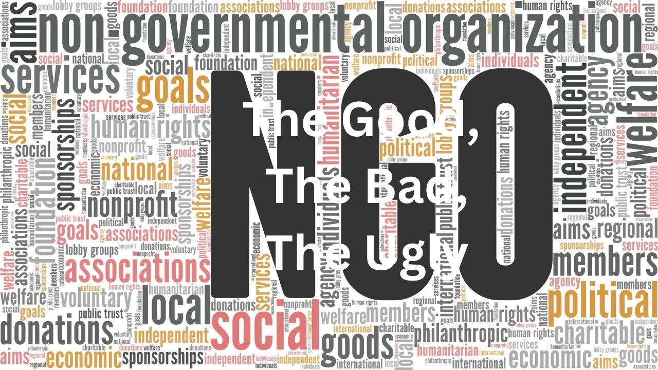 NGOs: The Good, The Bad, and The Ugly