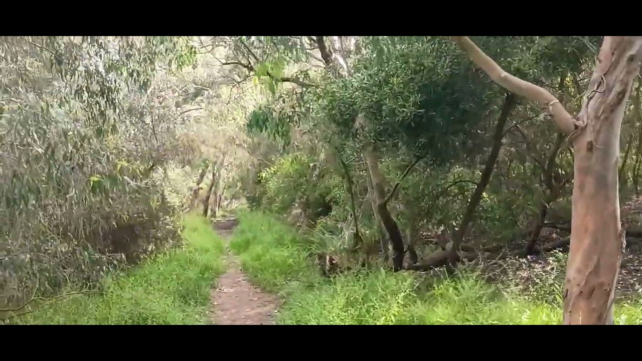 A Nice Walk From This Morning 