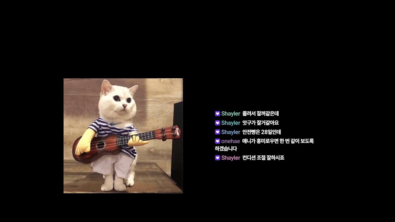 배린이 vs AI로봇