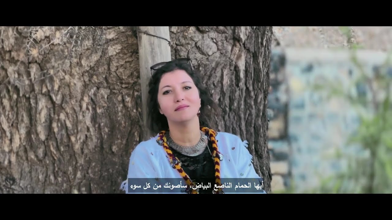 Youssef Ait Lhaj - Dihya - ( Ar itru - أري ترو أوسمون)