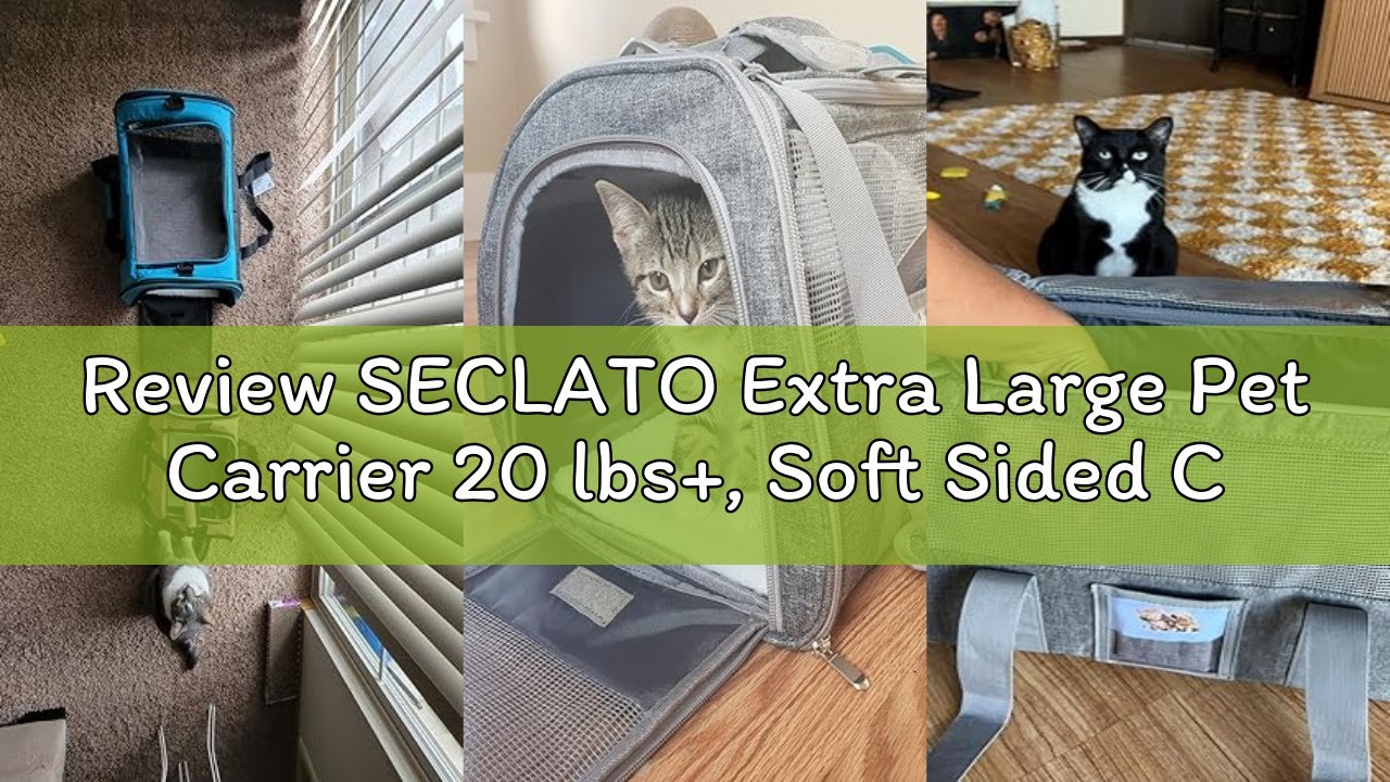 Review SECLATO Extra Large Pet Carrier 20 lbs+, Soft Sided Cat Carriers for Large Cats Under 25 lbs,