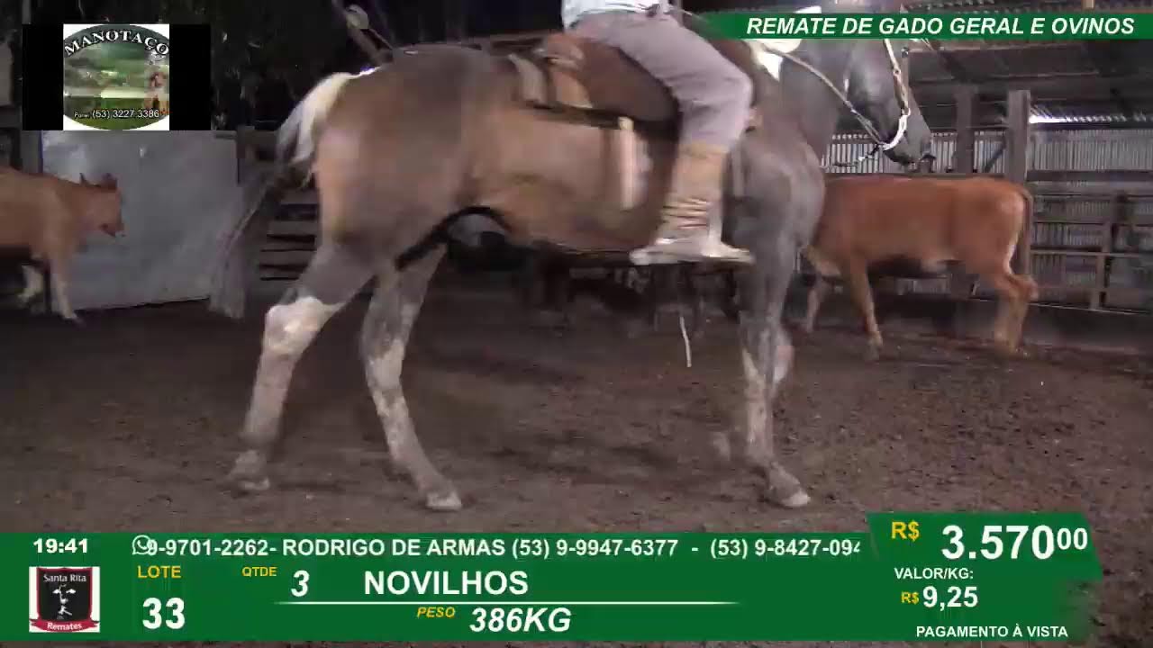 REMATE GERAL DE GADO E  OVINOS - SANTA RITA - JAGUARÃO - PEDRAS BRANCAS