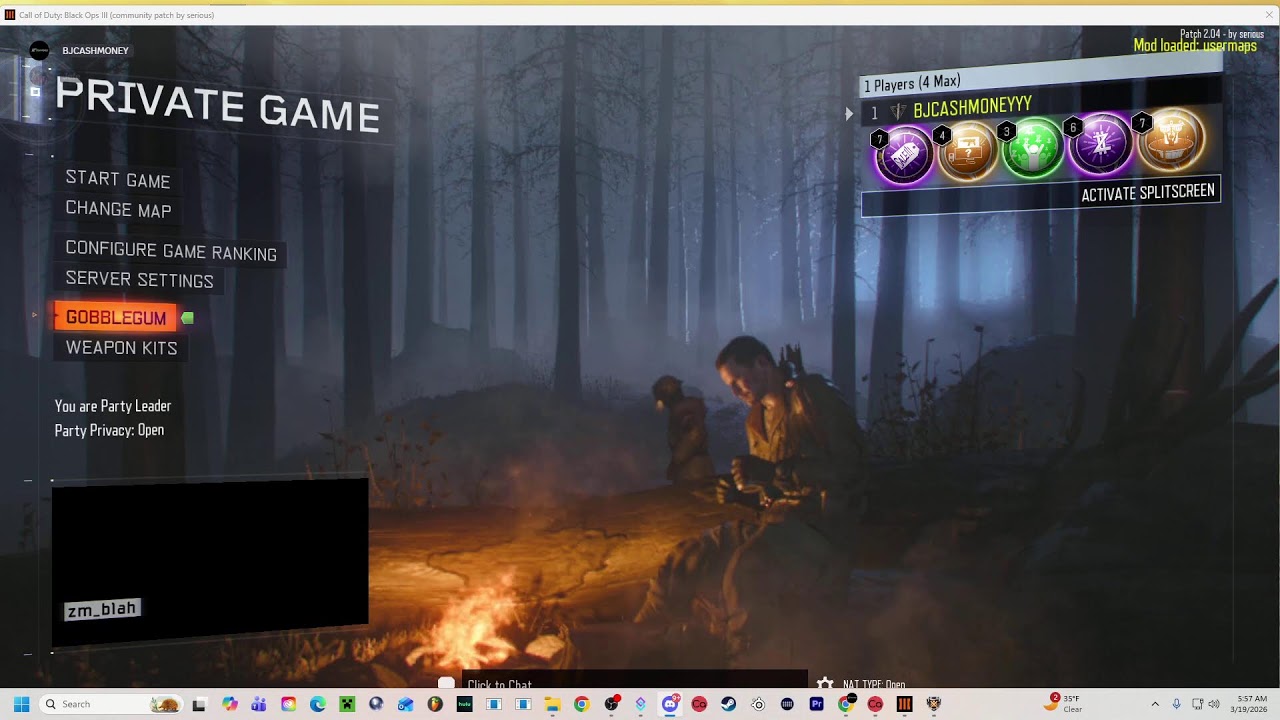 BLACK OPS 2 ZOMBIES 