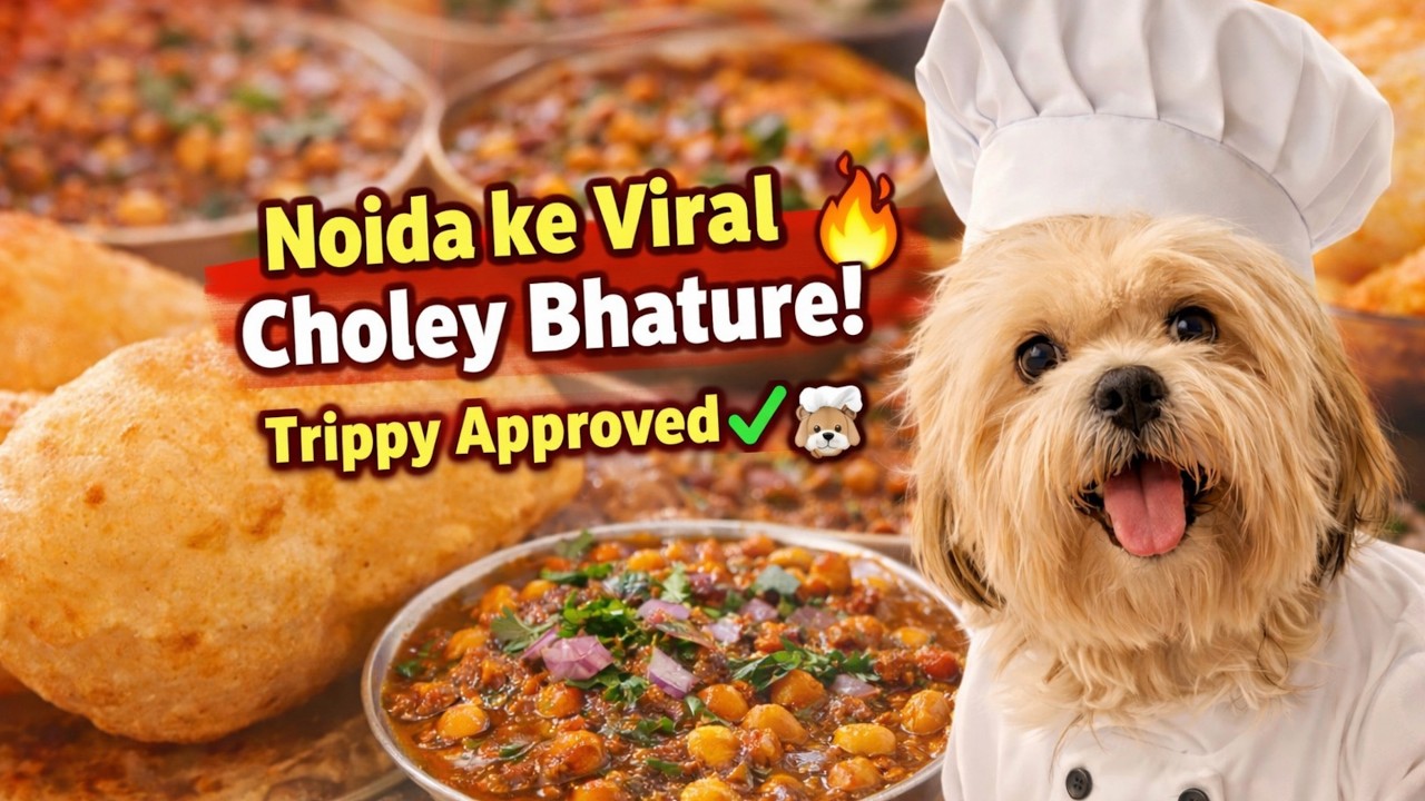 Noida ke Viral Choley Bhature? 😍 Trippy Approved ✔️ Food Vlog