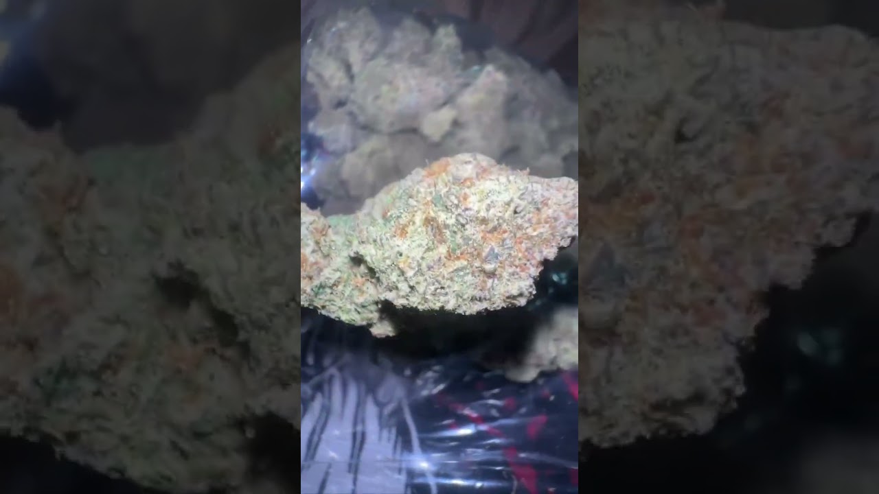 #OG #KUSH #WEED ₹INDIA