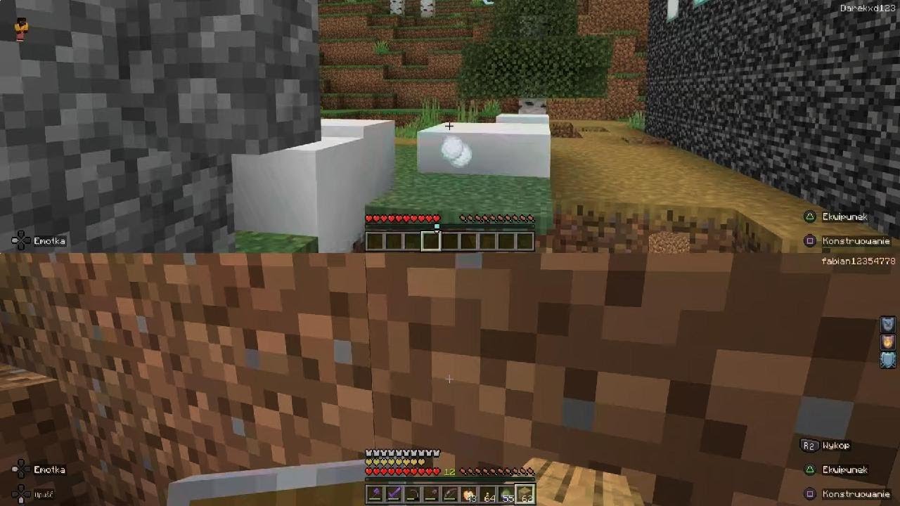 Minecraft_20260219163306