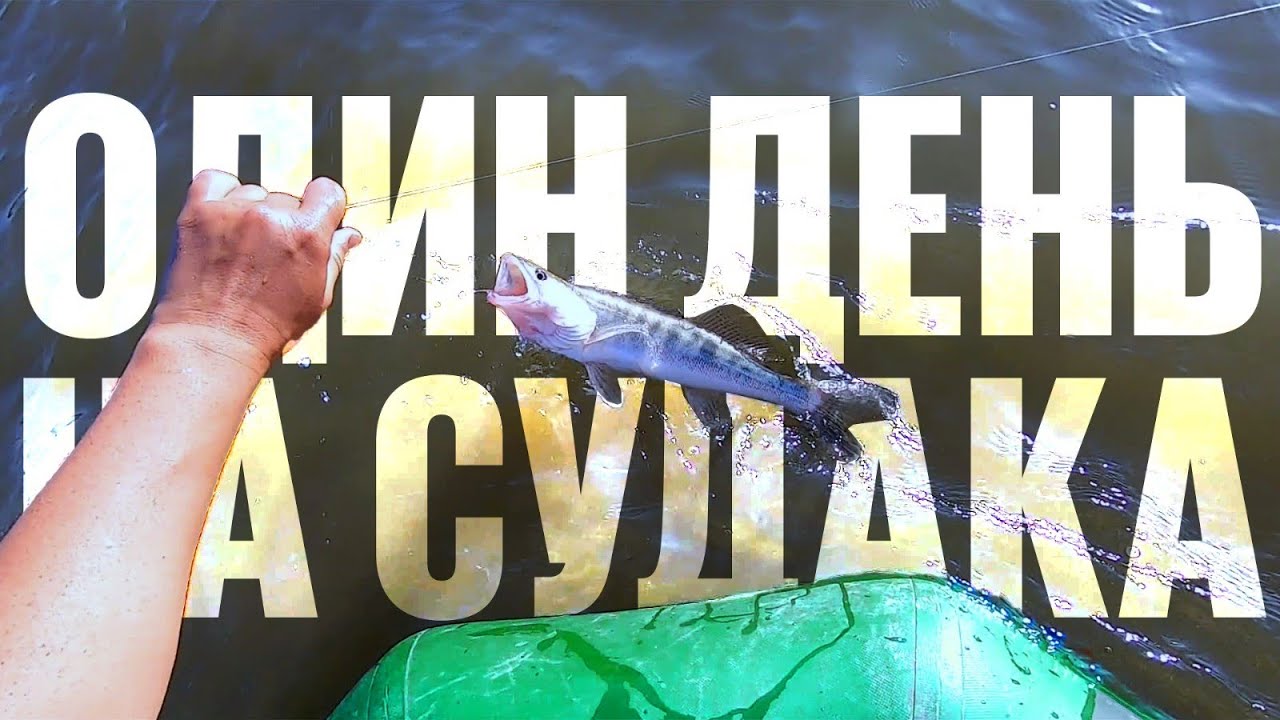 Один день на судака: ловля на малька