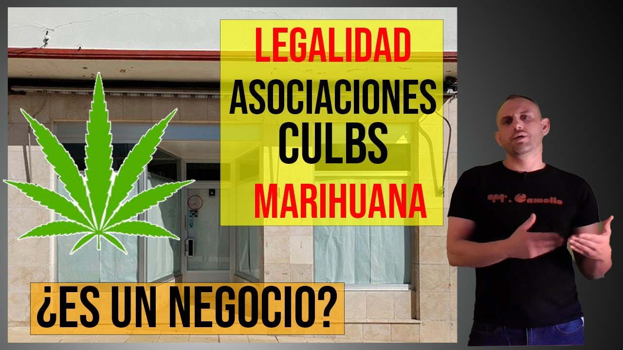 &iquest;Es un Negocio? LEGALIDAD ASOCIACIONES O CLUBS de MARIHUANA.