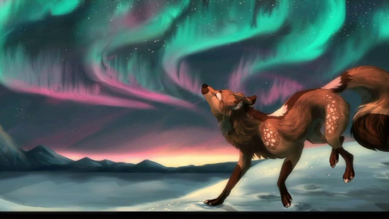 Anime wolves-Angel with a shotgun