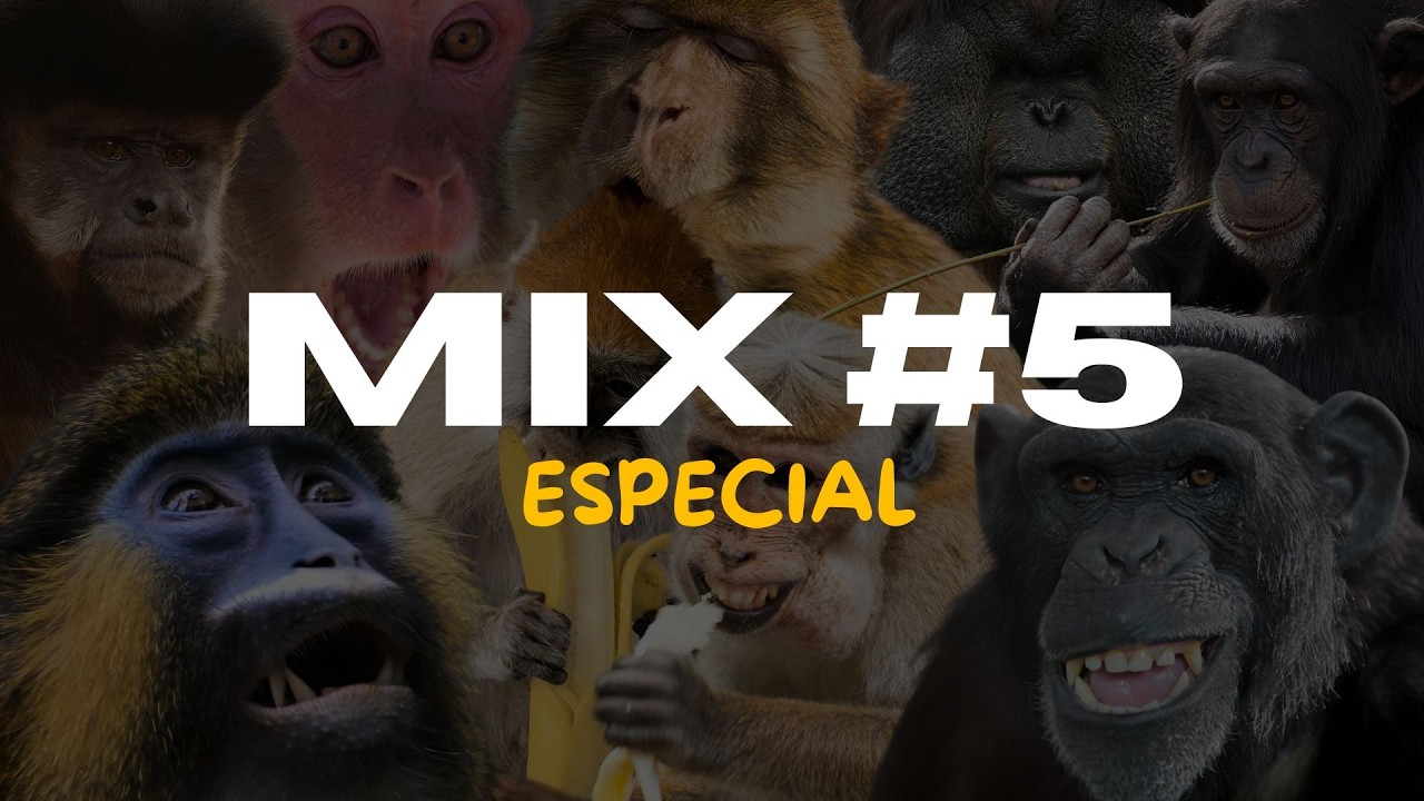 MIX 5