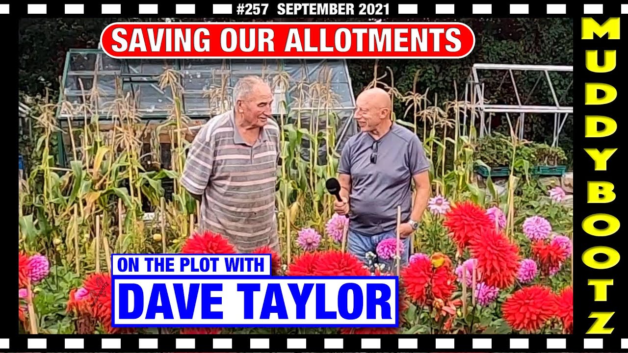 🌻257 🌻 SAVING OUR ALLOTMENTS 🌻 DAVE TAYLOR 🌻