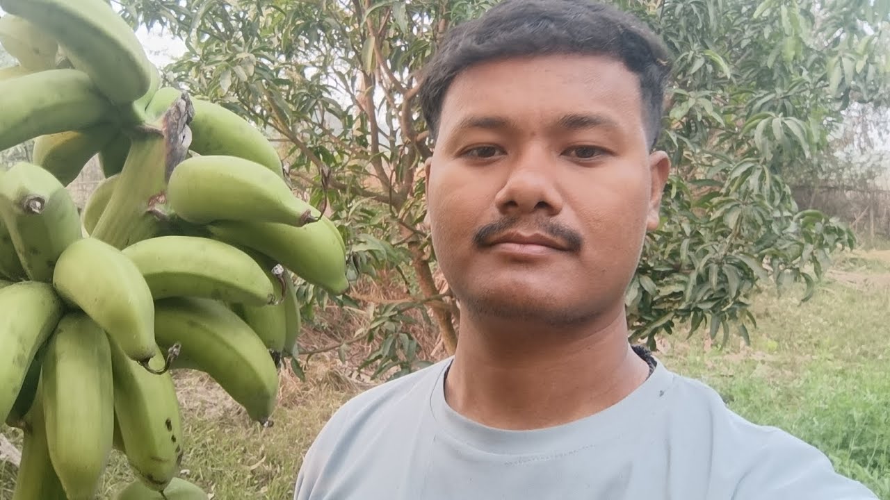 Gaule jiban ko bastabikta||Village Vlog||Farming 