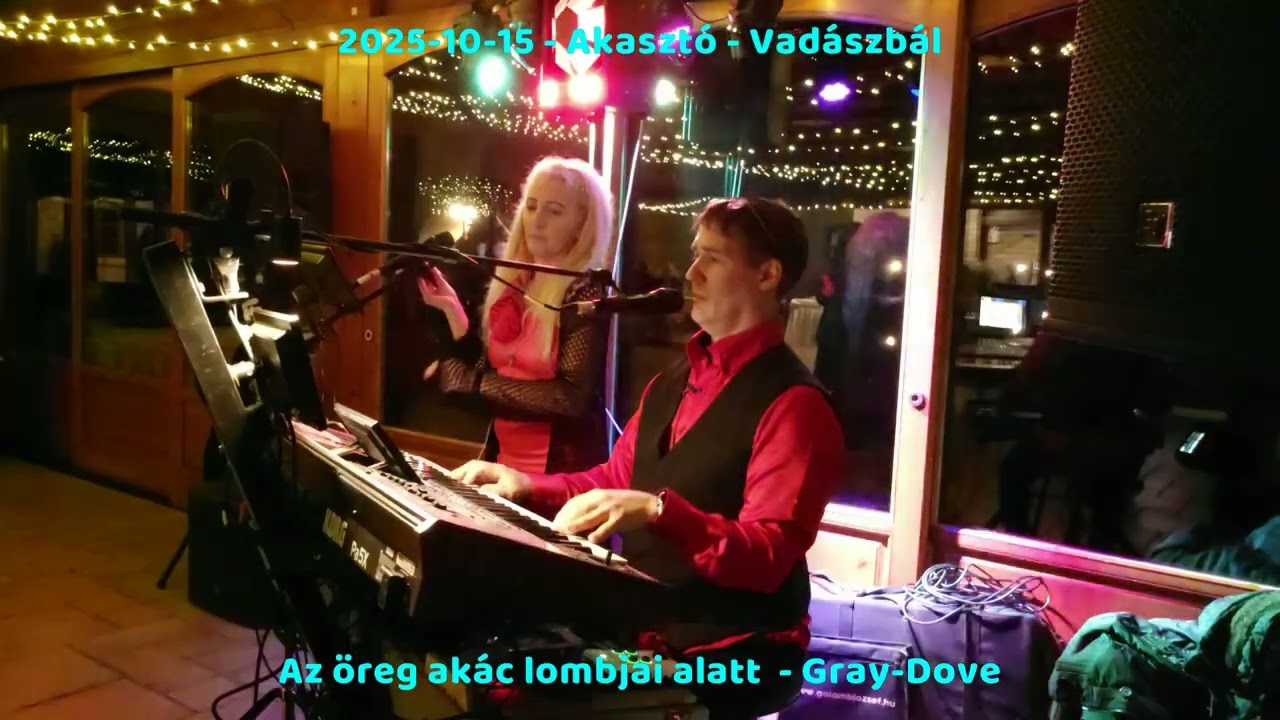 Az öreg akác lombjai alatt - Gray-Dove Zenekar (Saját) - Live