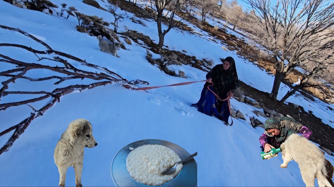 💦Melting snow❄ for washing🧼 and making rice milk🍚 to treating papi💊🐶