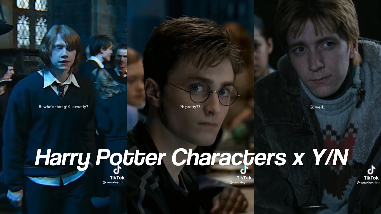 Harry Potter Characters x Y/N POVs