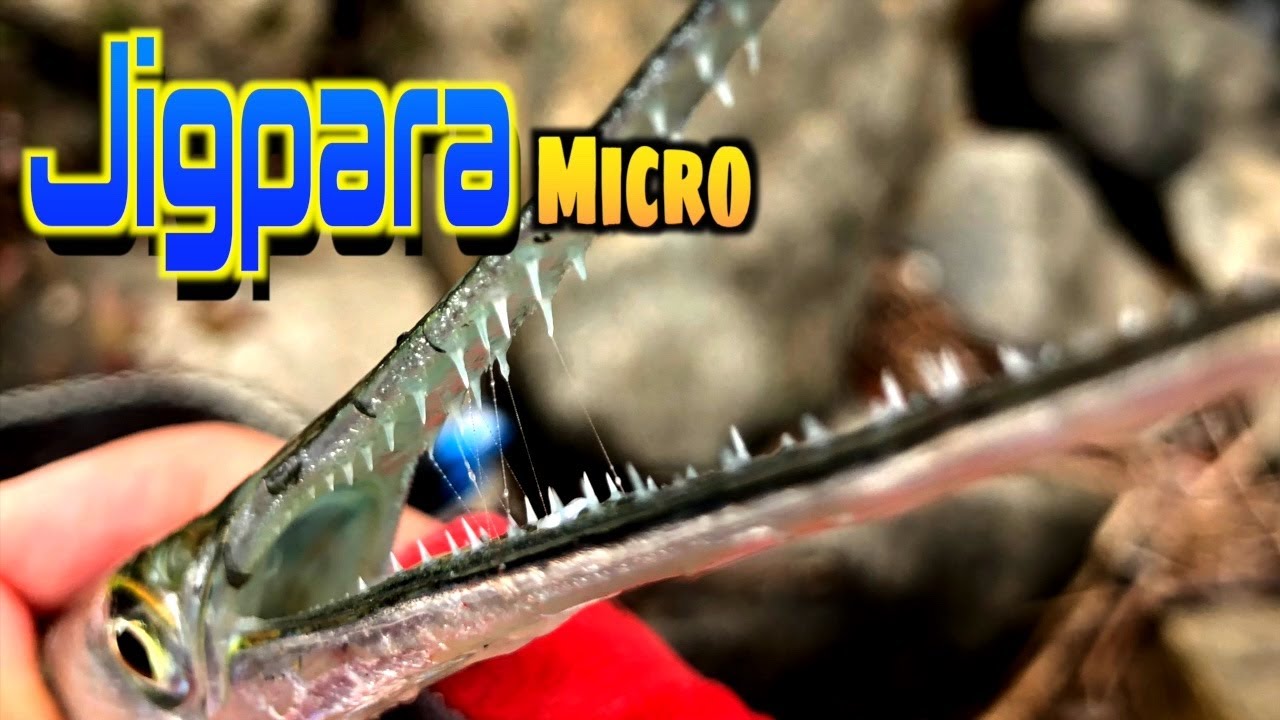Major Craft Jigpara Micro. Catch Needlefish [Micro Shore Jigging]