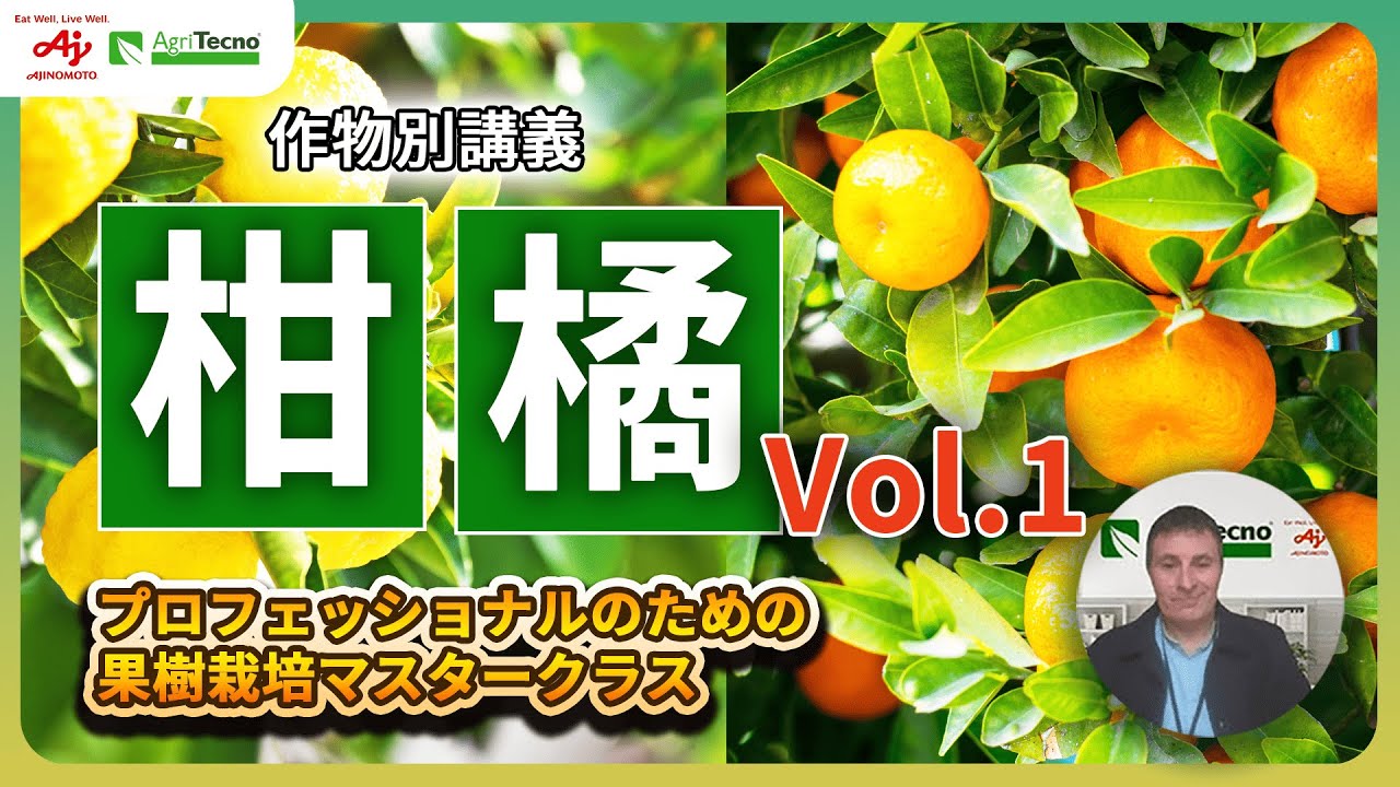 【徹底解説講座】果樹・柑橘類の収量アップのカギは開花プロセスの理解にあり！？柑橘栽培の成長メカニズムを解説！隔年結果のメカニズムも解説！温州みかん、伊予柑、かんきつ栽培者必見