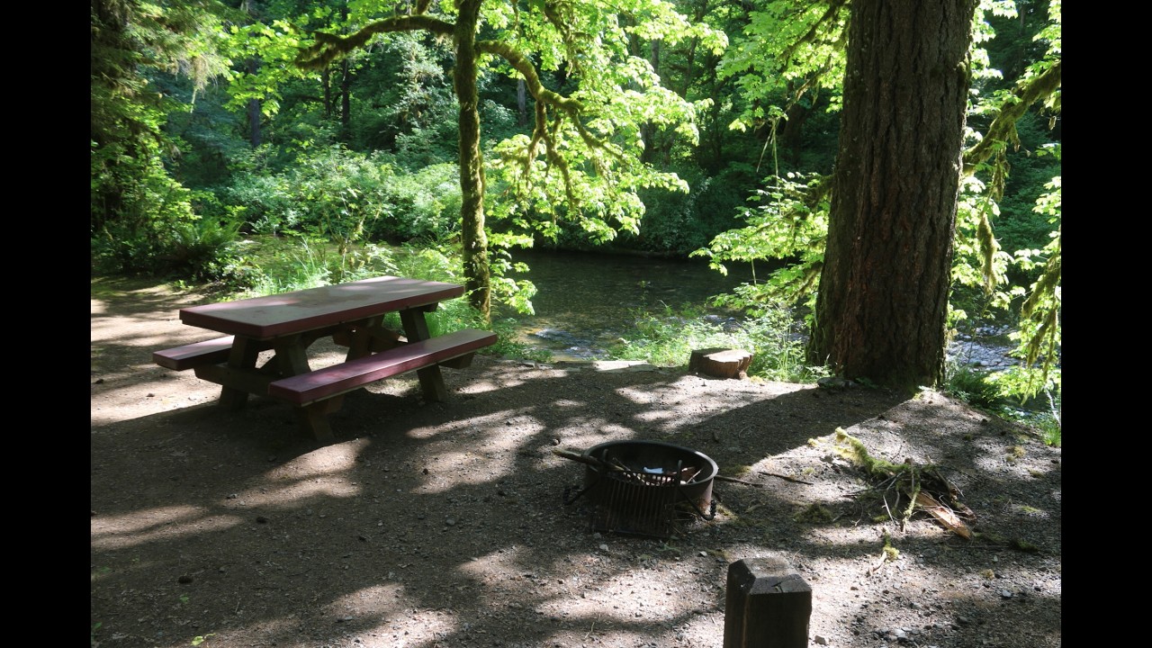 A Photographic Tour of Trout Creek Campground on the South Fork of the Santiam River