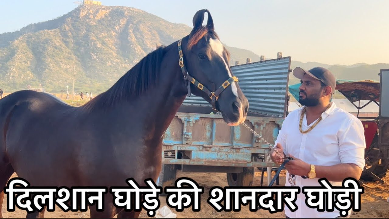 करौड़ डेड करोड़ 🔥 तो लग चुके है पर देनी नहीं है 