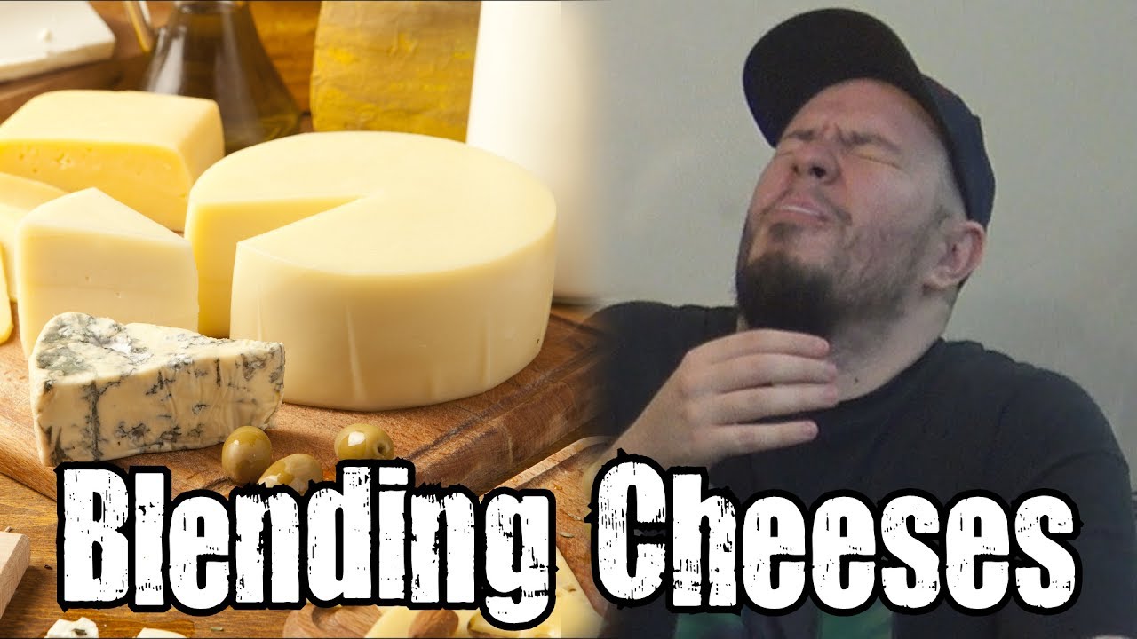 Blending Cheeses Taste Test - Blendurrr