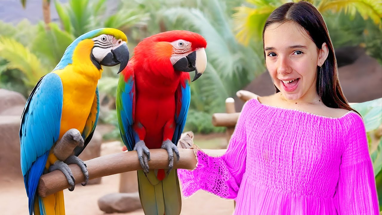 📢 Ne Luăm PAPAGALI din TENERIFE 🦜 Cea Mai Spectaculoasă GRĂDINĂ ZOOLOGICĂ 👒
