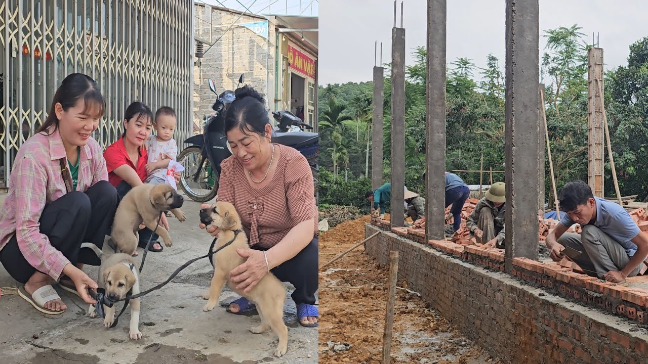 Erect pillars and walls for the dream house. Kieu takes the puppy to the market to sell. Ep 360