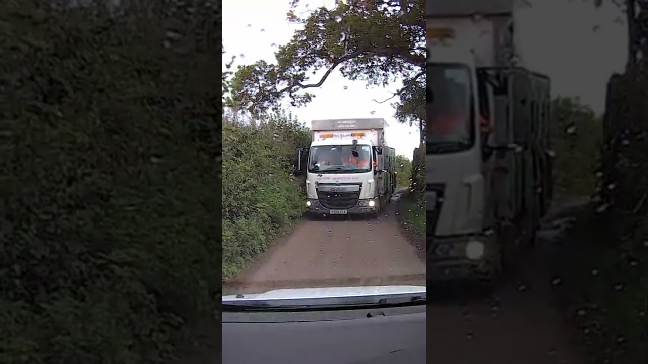 Meeting truck on Devon lane #dashcam #devon #blackdown #exeter