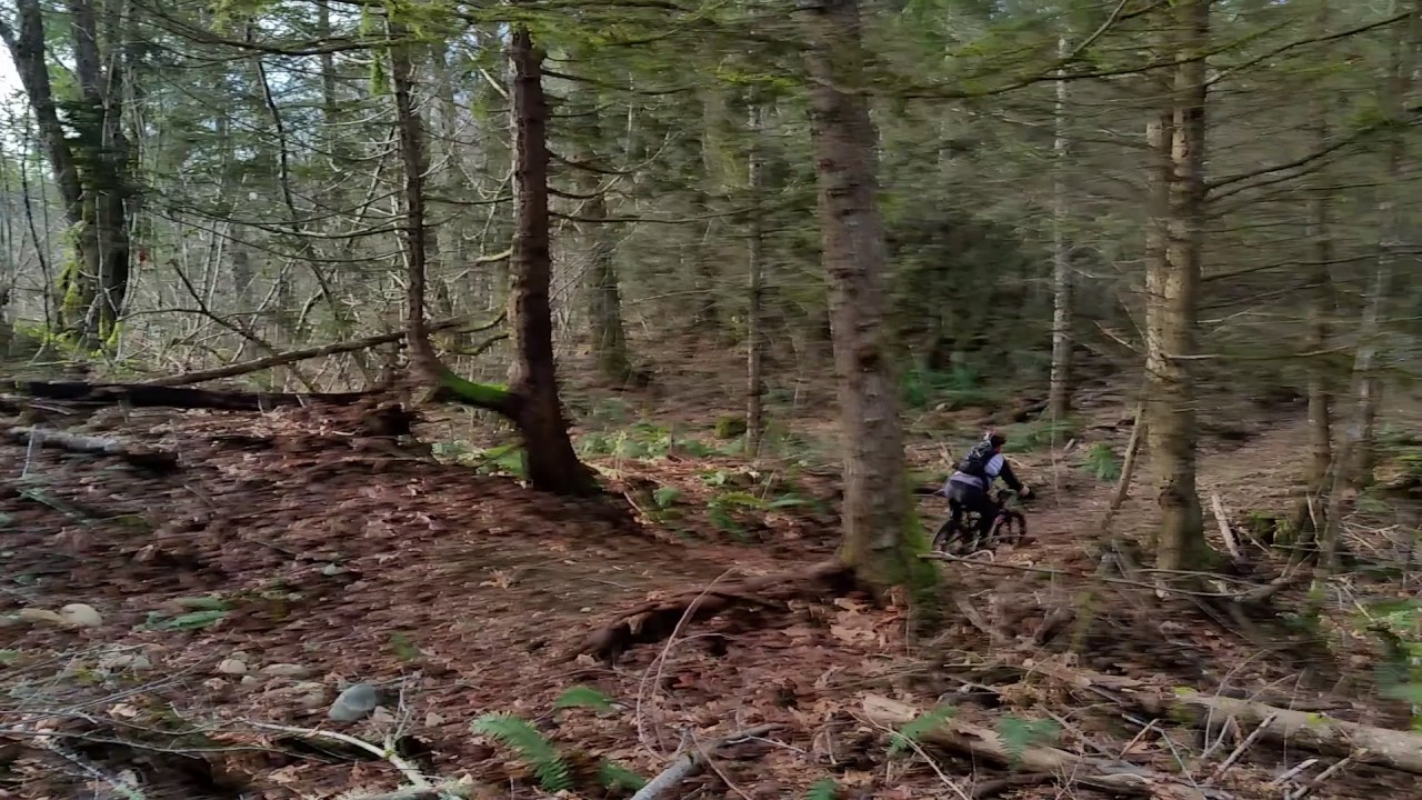 Whyte T130 in action