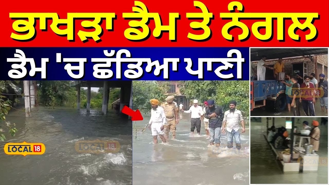 Nangal News | ਭਾਖੜਾ ਡੈਮ ਤੇ ਨੰਗਲ ਡੈਮ 'ਚ ਛੱਡਿਆ ਪਾਣੀ, ਸਤਲੁਜ ਮਾਰ ਰਿਹਾ ਠਾਠਾਂ! | Punjab Floods #local18